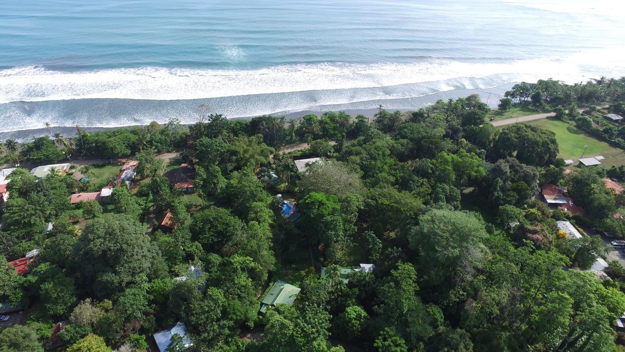 Playa Negra Guesthouse Cahuita Exterior foto